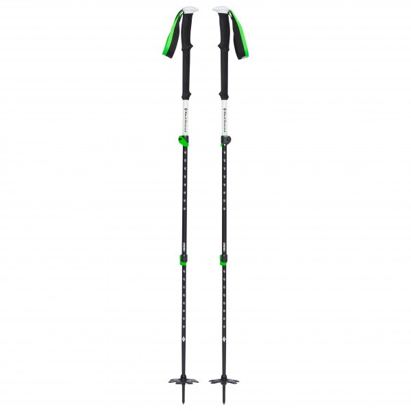 Expedition 3 Ski Poles