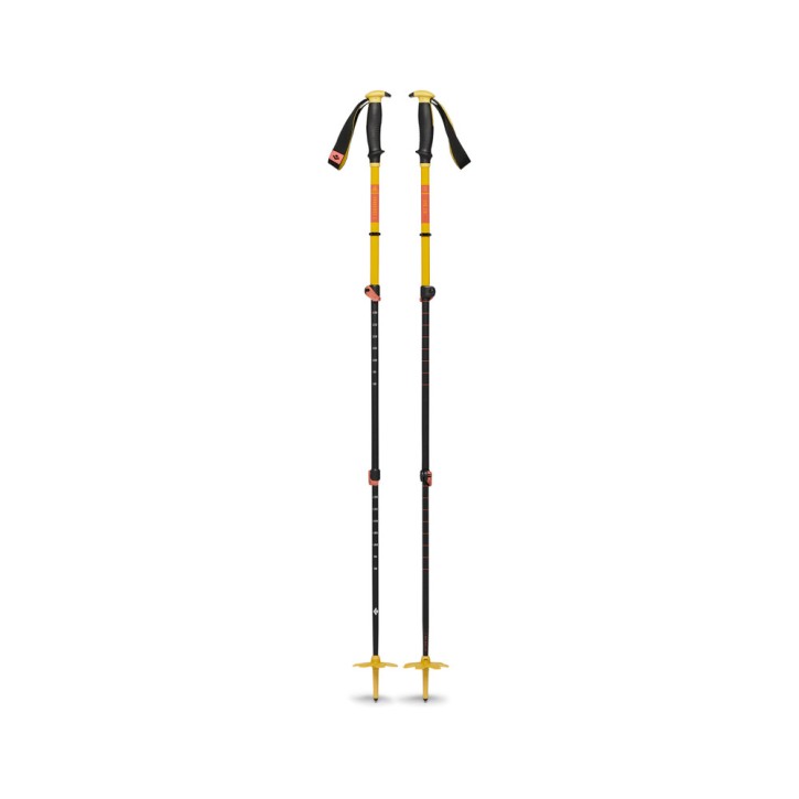 Traverse 3 Ski Poles